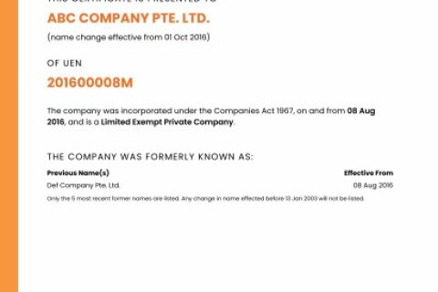 新加坡公司营业执照什么样？（新加坡公司注册完成文件）