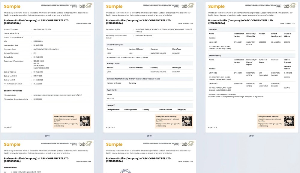 新加坡公司营业执照什么样？（新加坡公司注册完成文件）